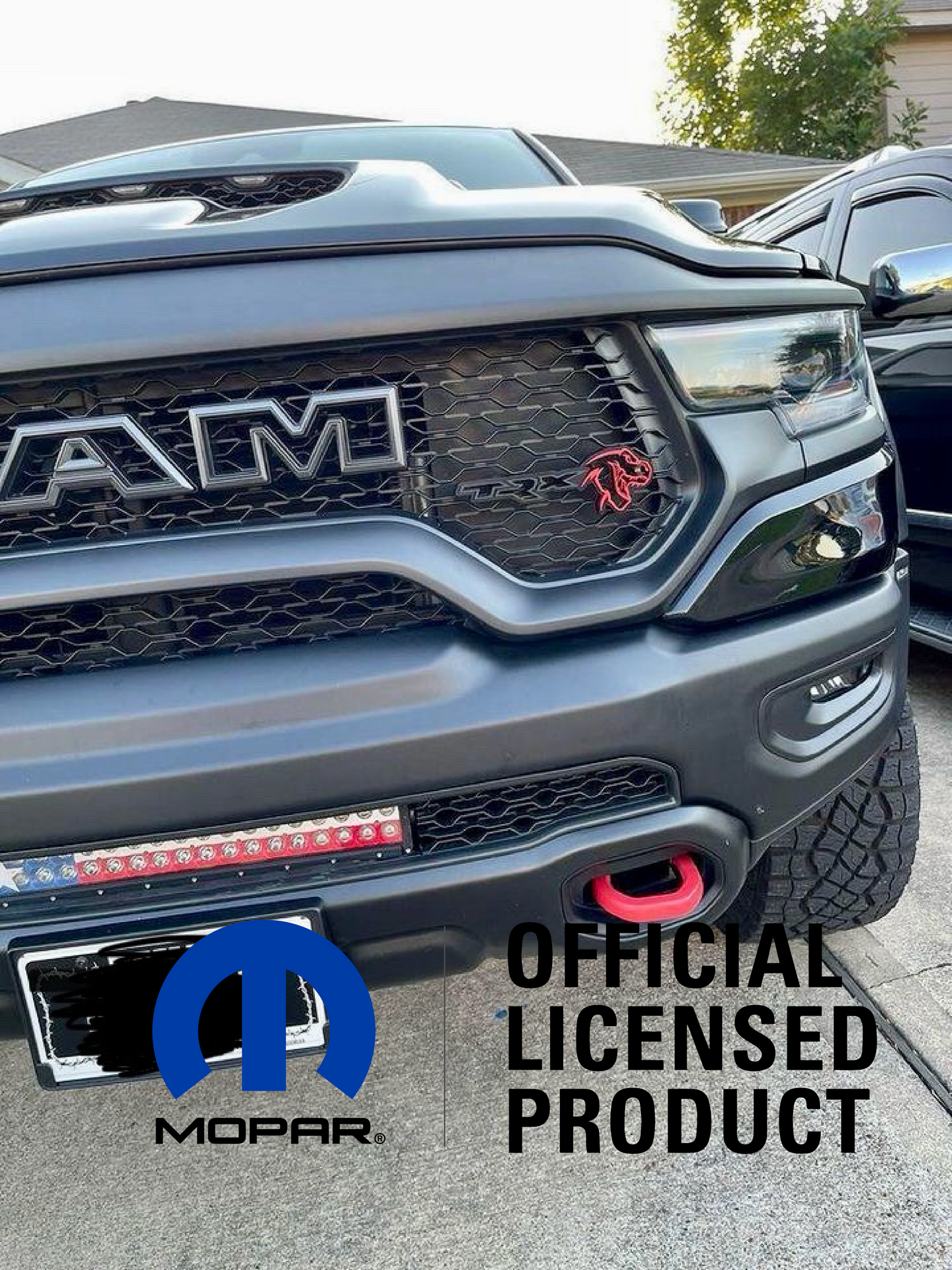 TREX/TRX combo grille badge