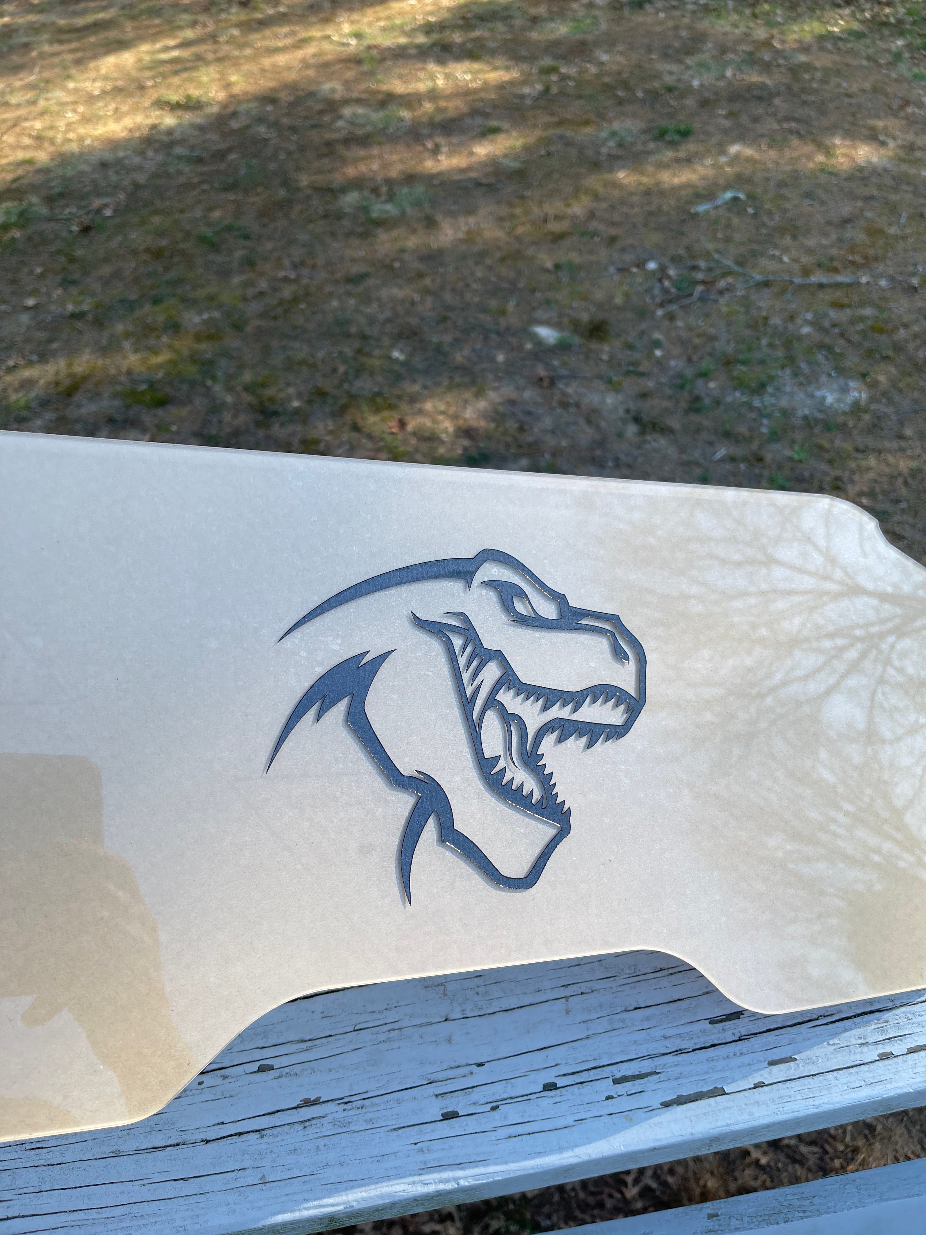 S&B Custom intake cover