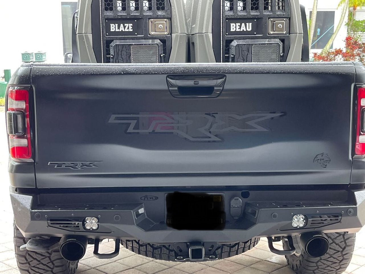 TRX Tailgate replacement badge