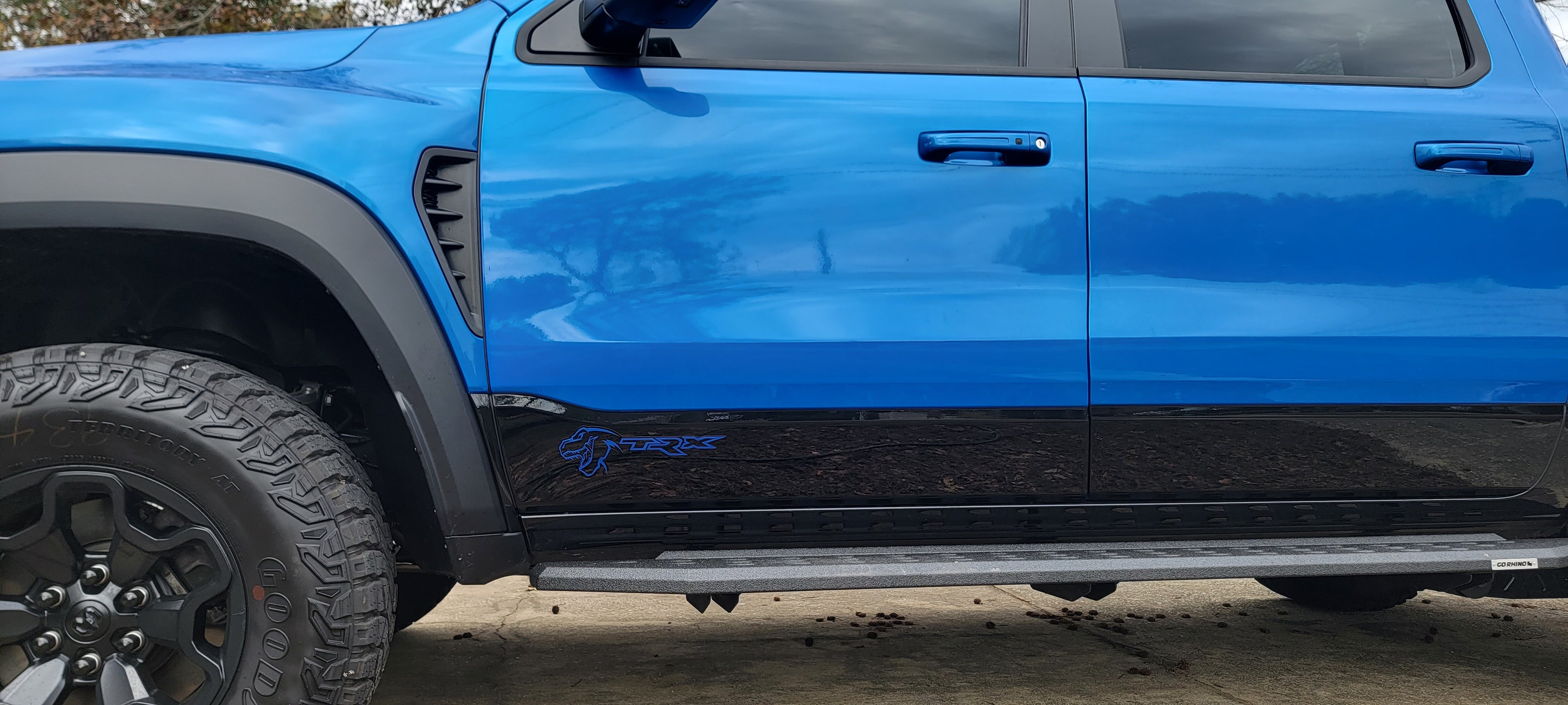 TREX/TRX combo badge pair