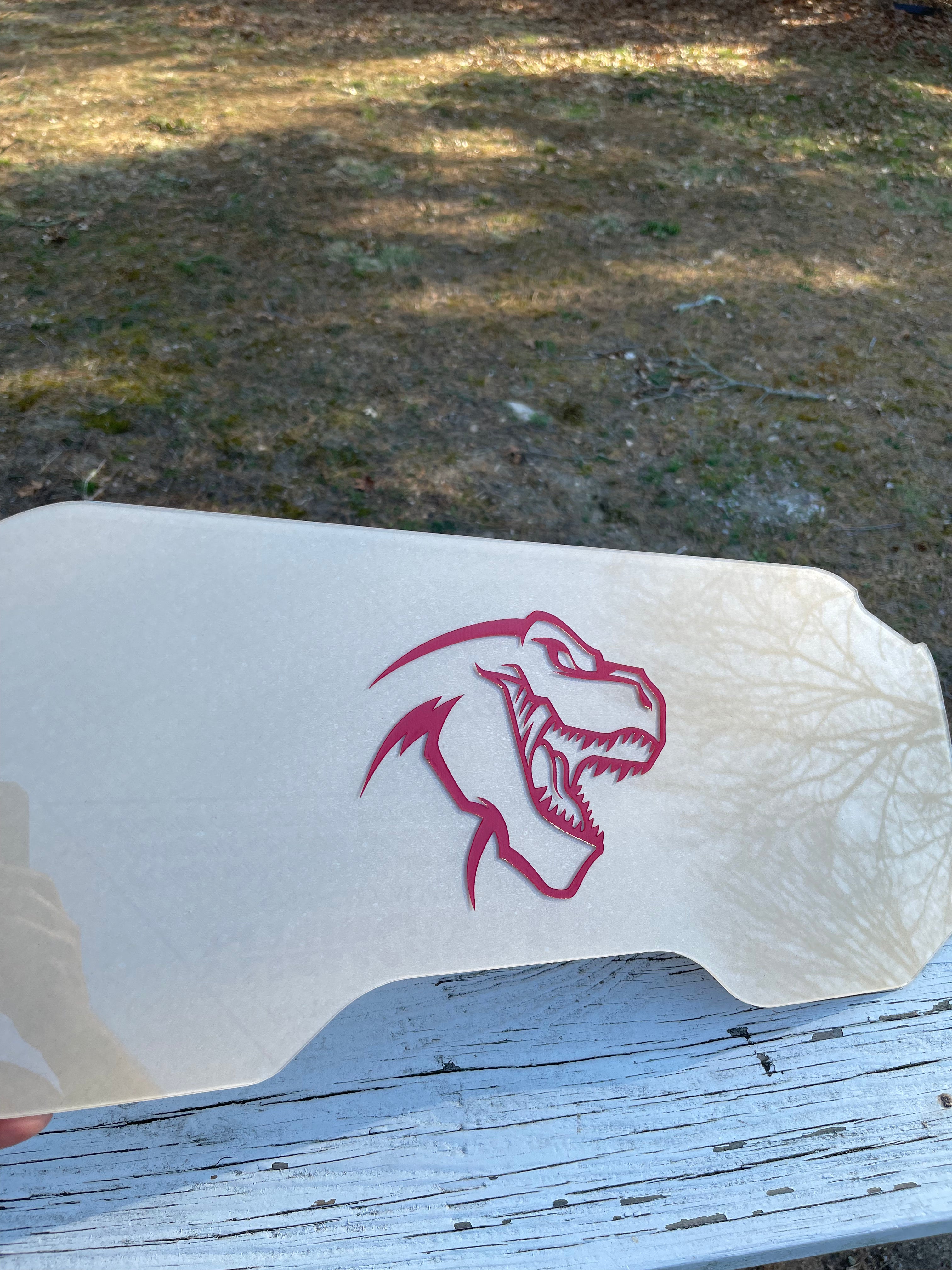 S&B Custom intake cover