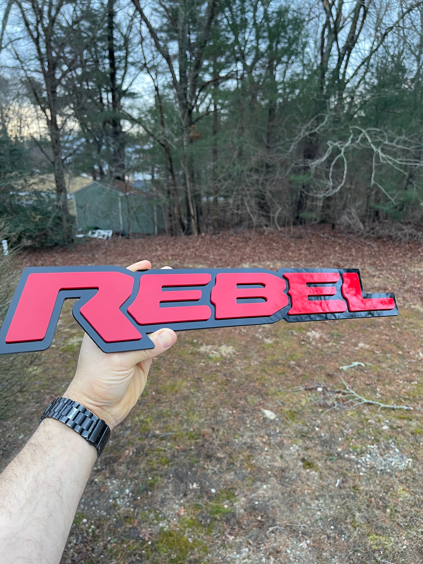 Rebel Grille badge replacement