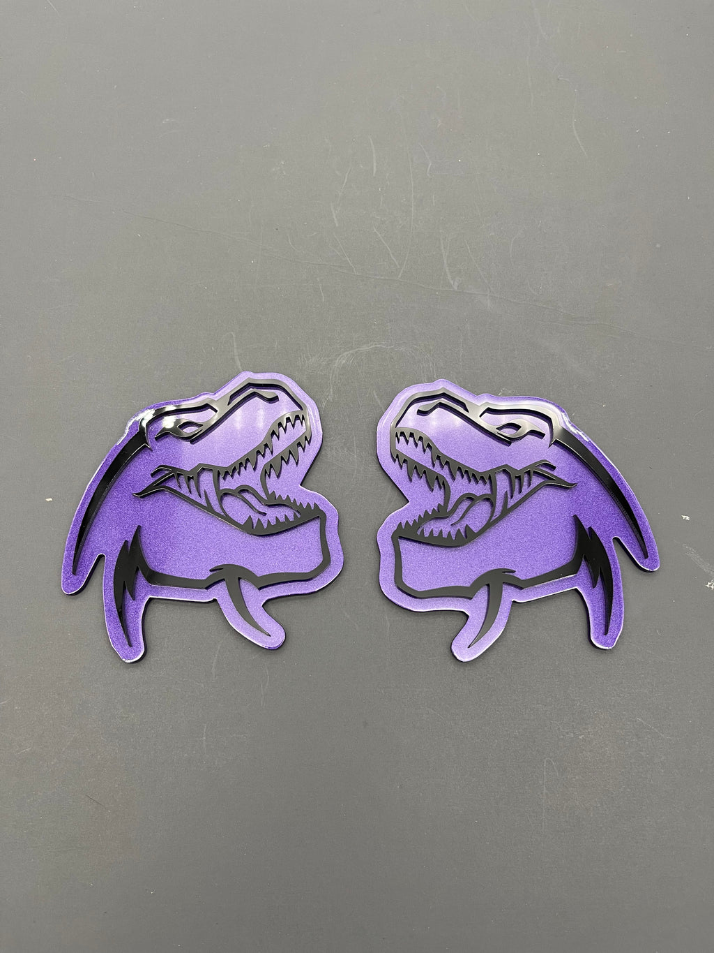 TREX head badge pair