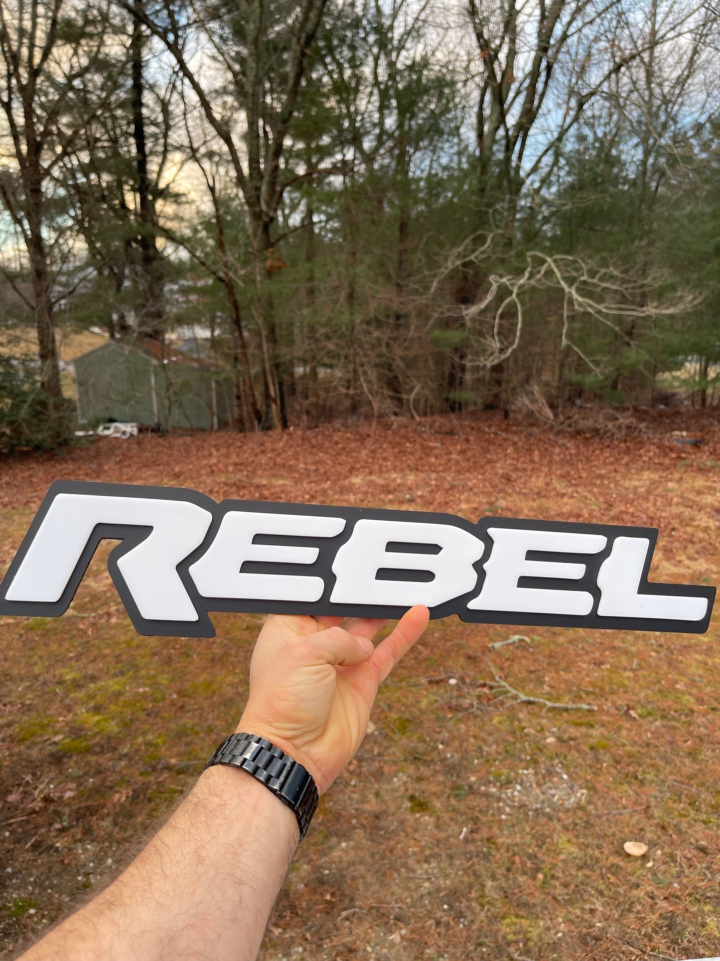 Rebel Grille badge replacement