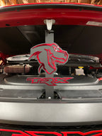 Trex-TRX V1 hood prop