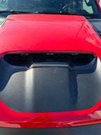 RAM TRX / RHO carbon fiber center air intake cover