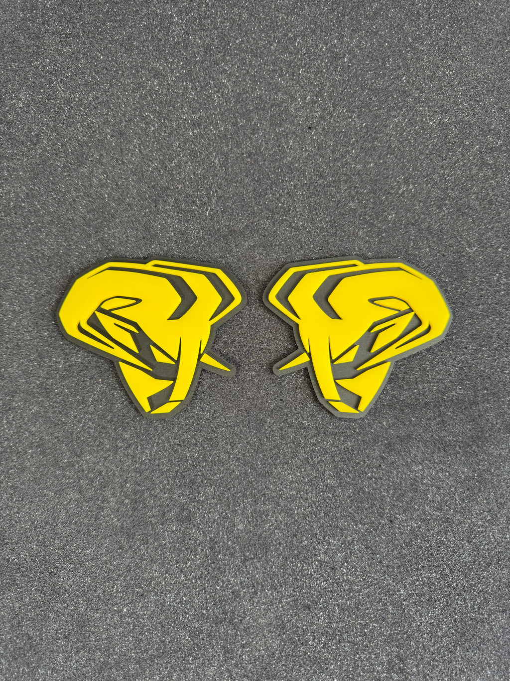 RAM Head Pair