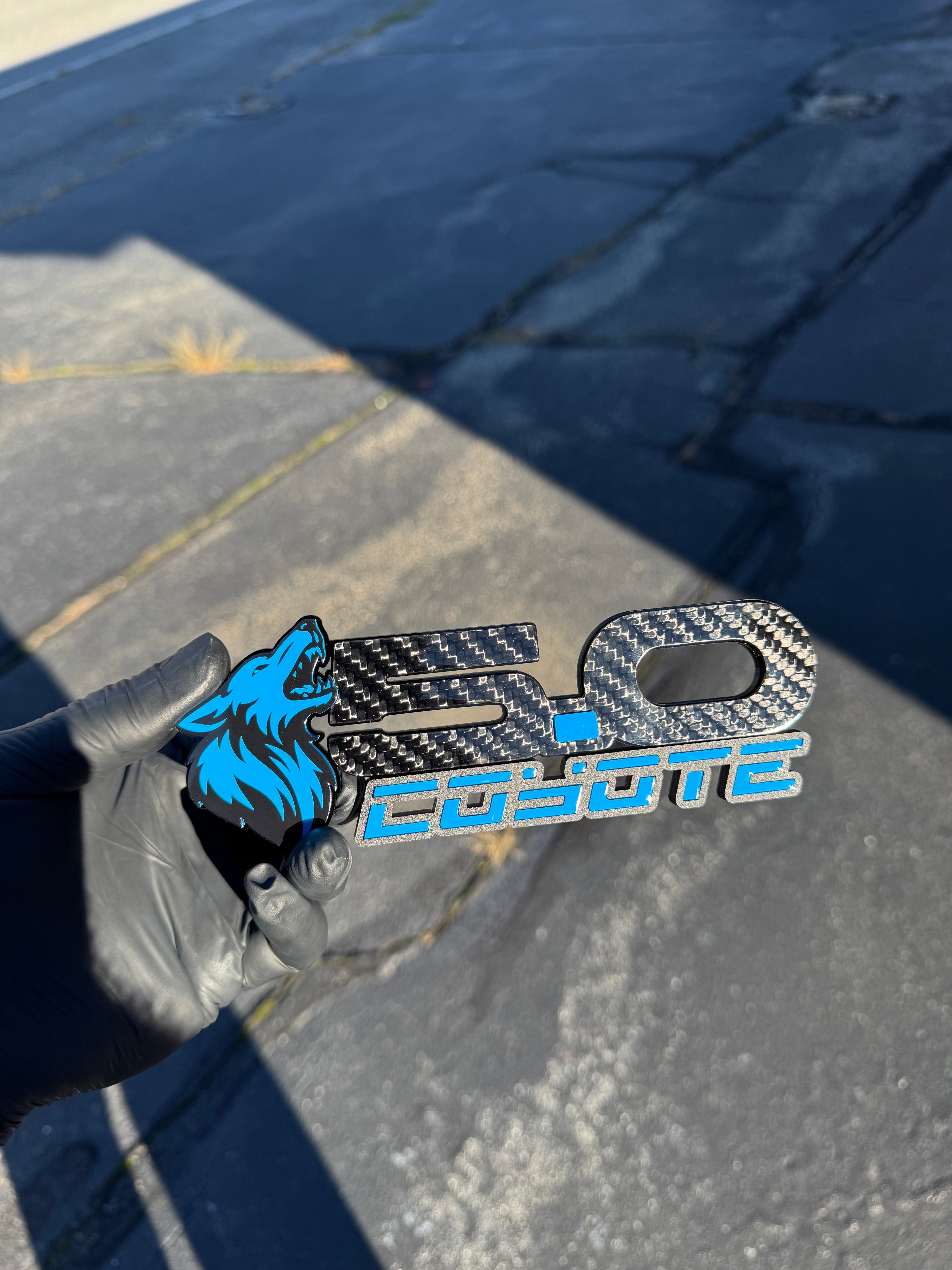 Coyote 5.0L fender badge pair