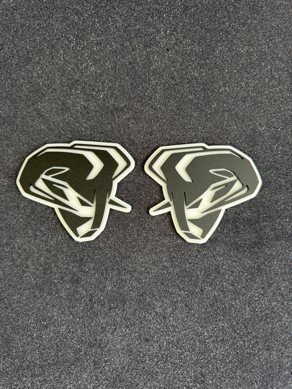 RAM Head Pair