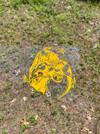 S&B Custom intake cover