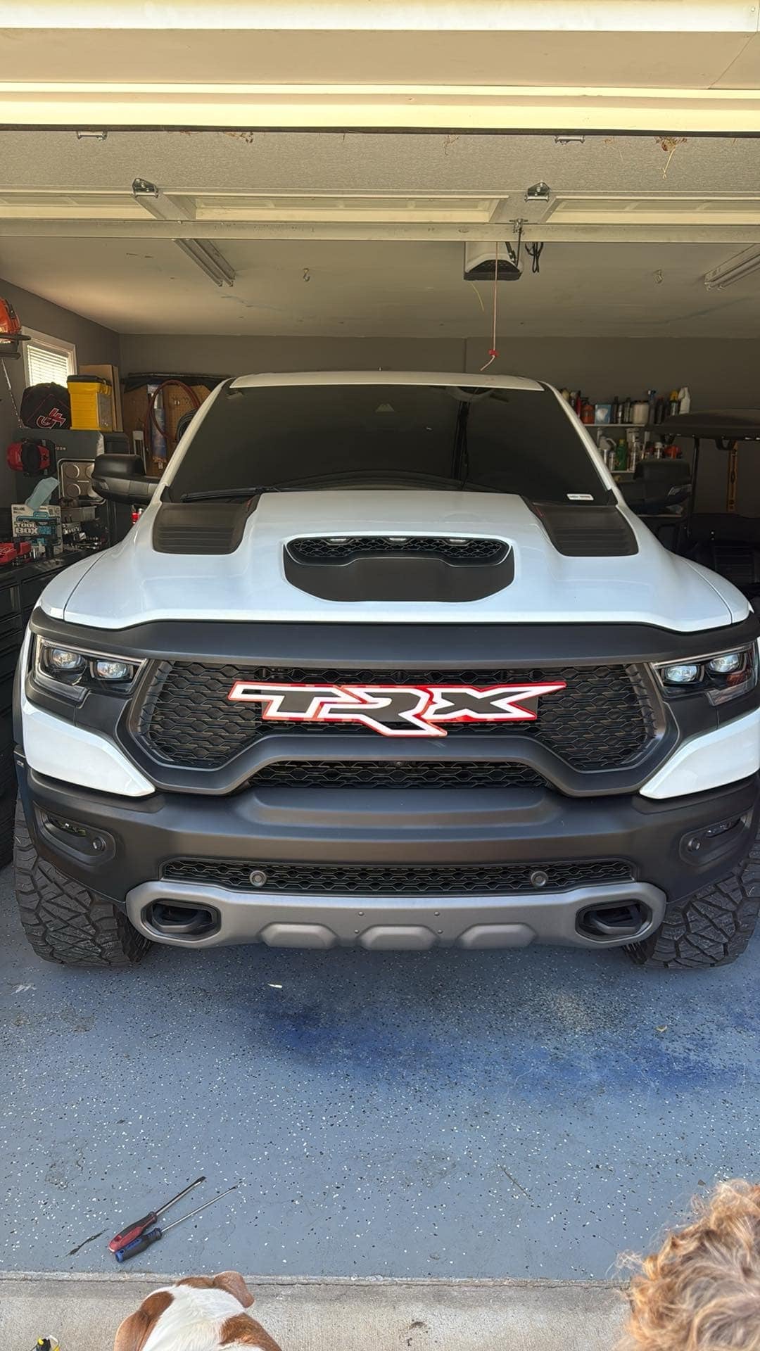 TRX Grille replacement badge