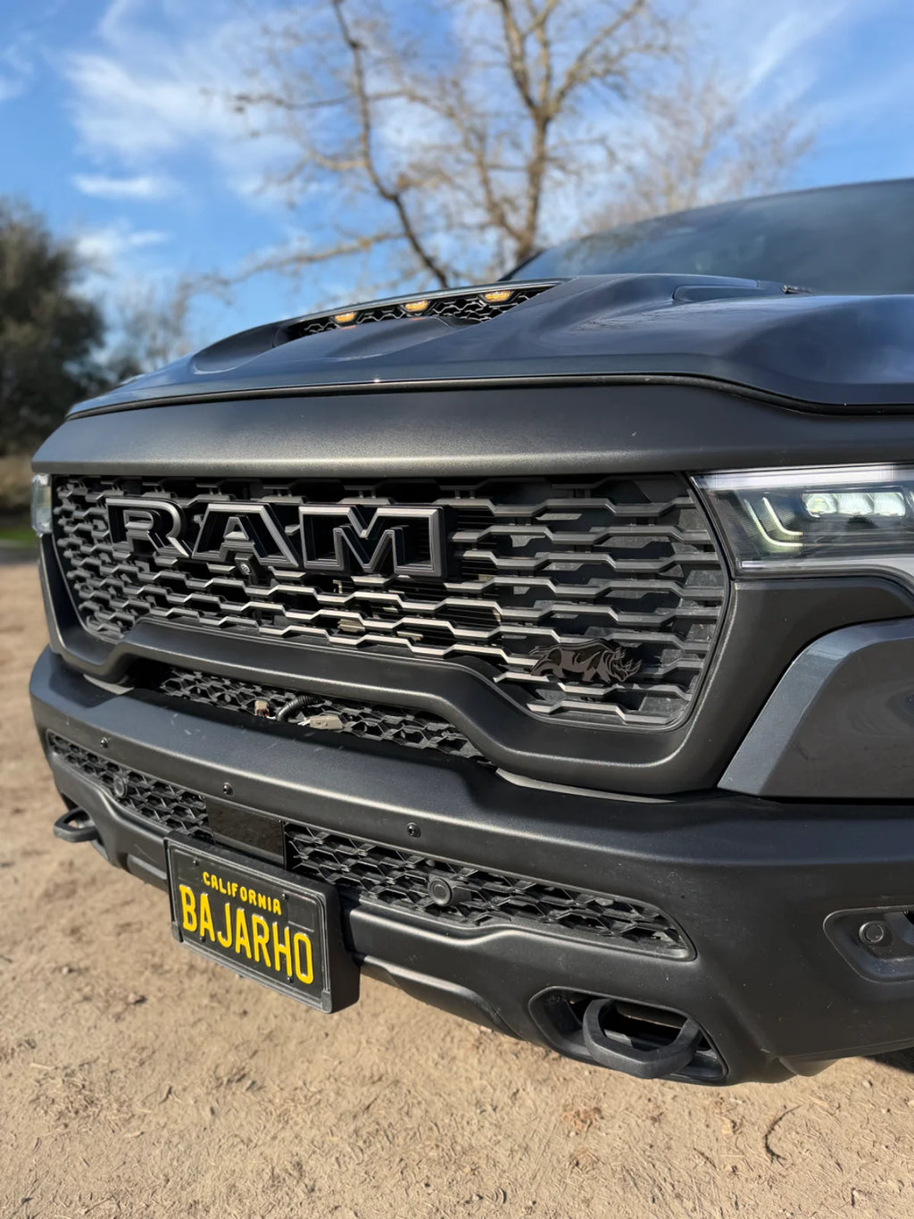 Rhino grille badge