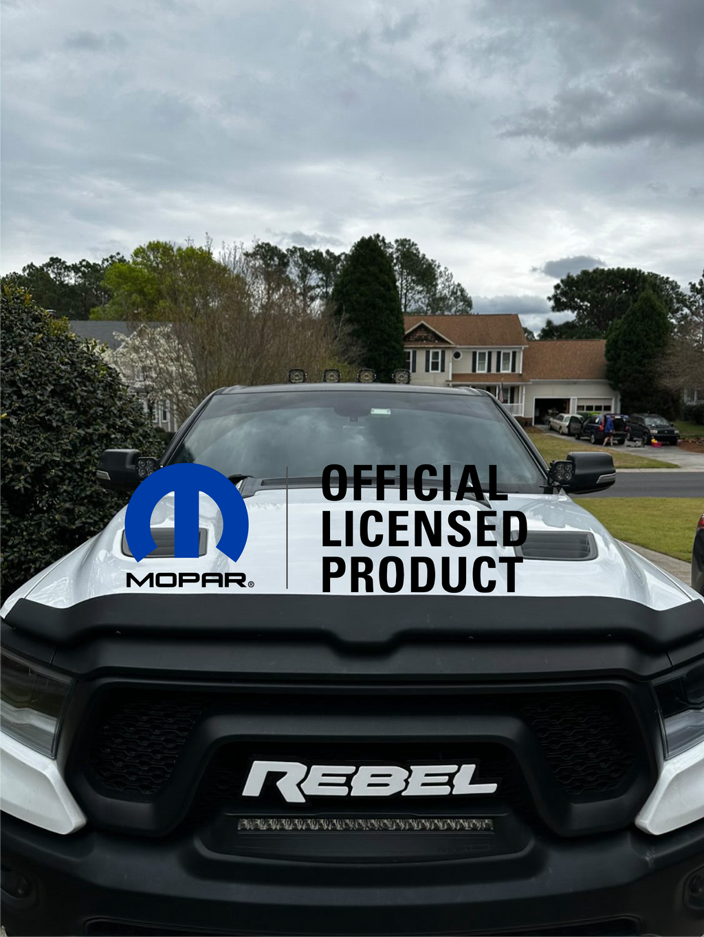 Rebel Grille badge replacement