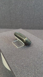 2019+ RAM 1500/ TRX / RHO carbon fiber key fob cover